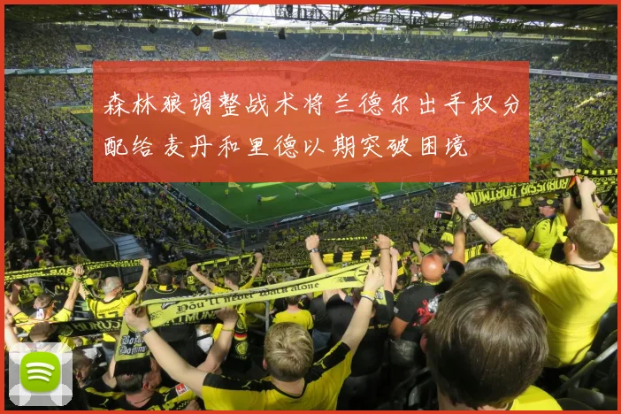 森林狼调整战术将兰德尔出手权分配给麦丹和里德以期突破困境
