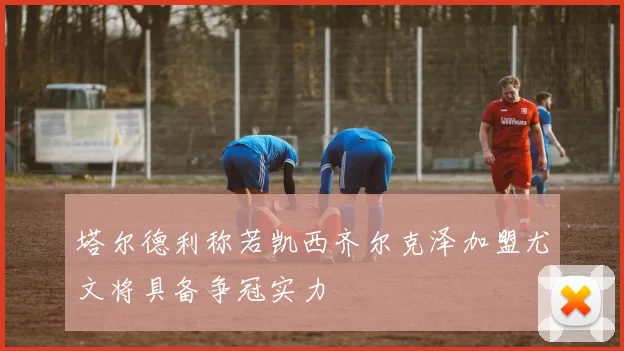 塔尔德利称若凯西齐尔克泽加盟尤文将具备争冠实力