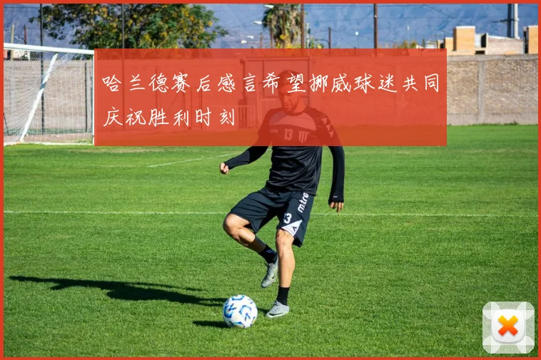 哈兰德赛后感言希望挪威球迷共同庆祝胜利时刻